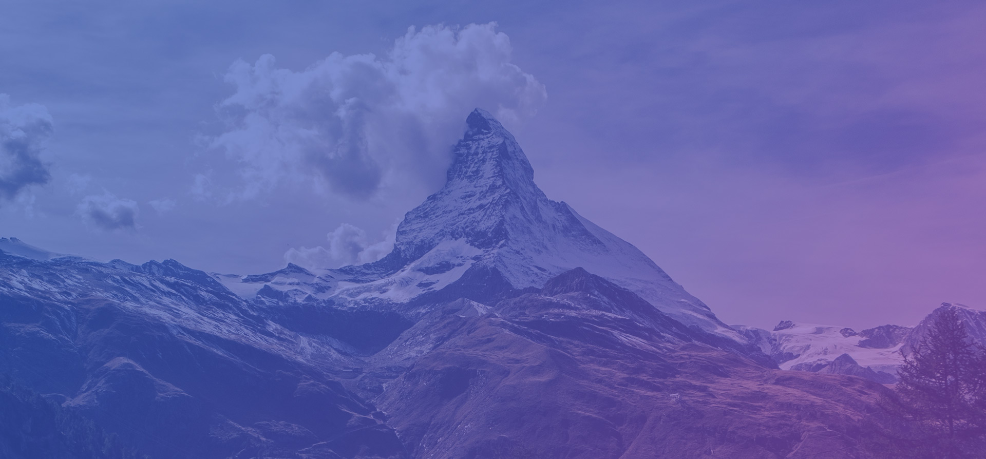 FENA Security Services